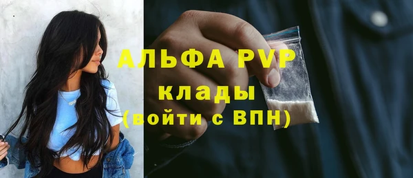 крисы Алексин