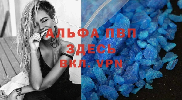 крисы Алексин