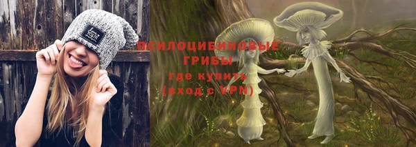 прущая мука Алзамай