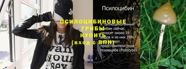 прущая мука Алзамай
