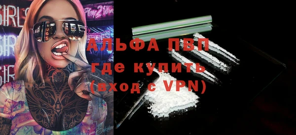 крисы Алексин